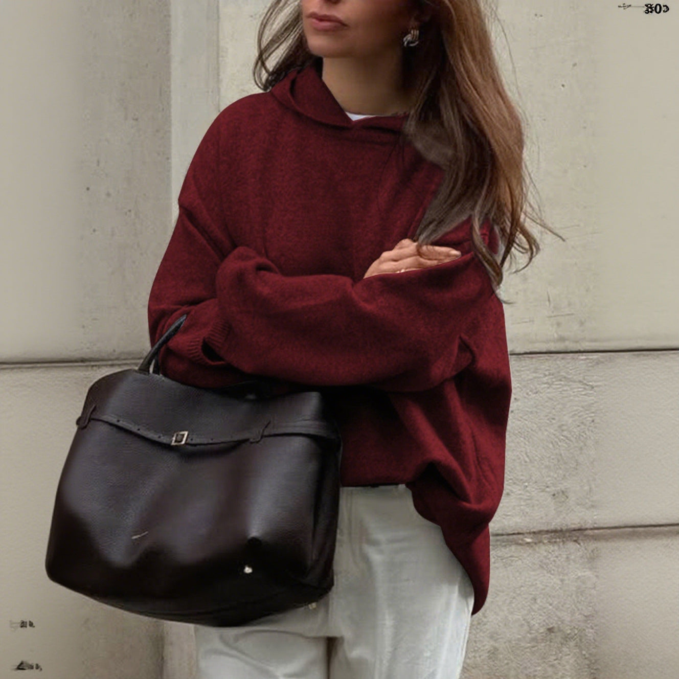 Casual Minimalist Long Sleeve Hooded Sweater Woolen