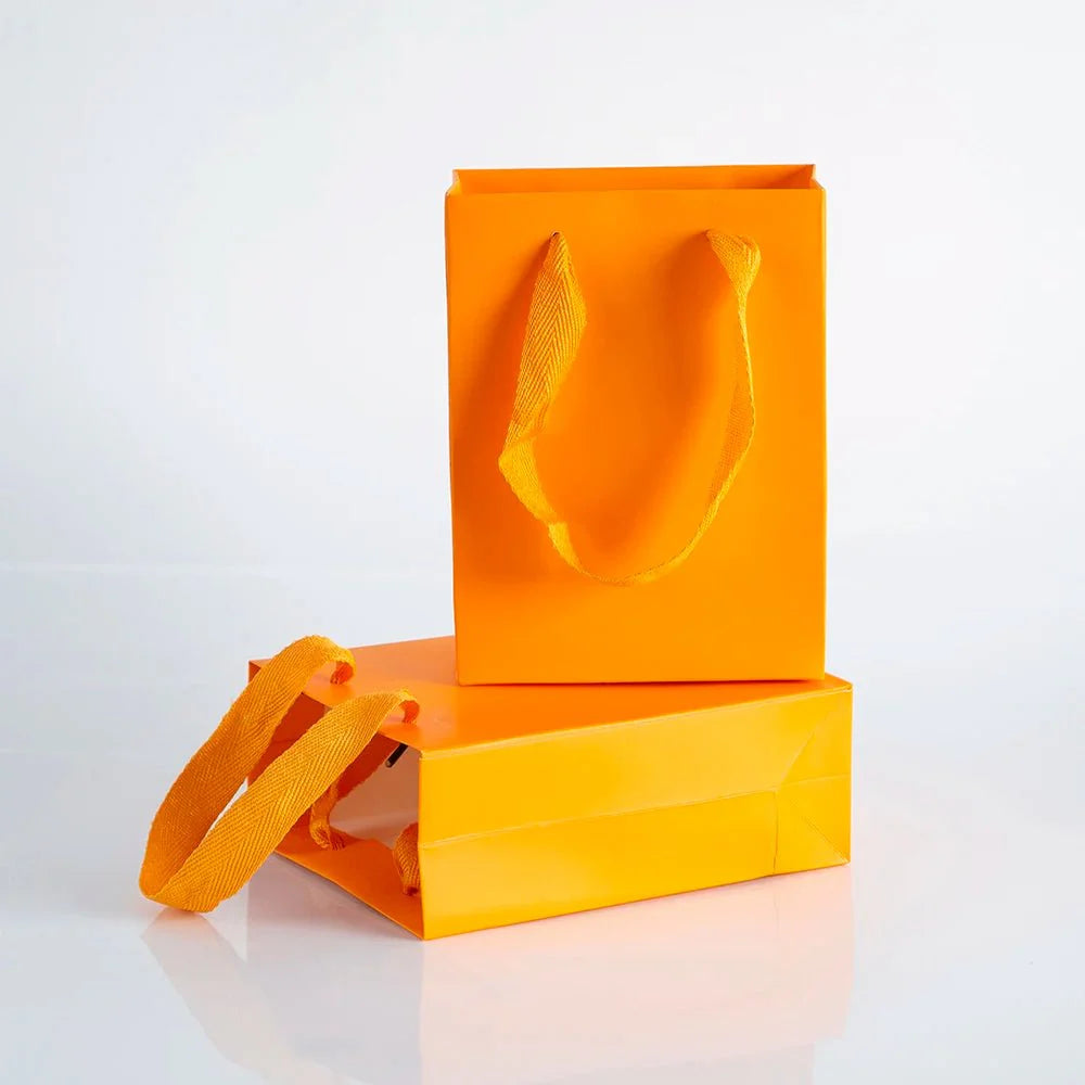 10pcs Gift Paper Bags with Ribbon Rope Kraft