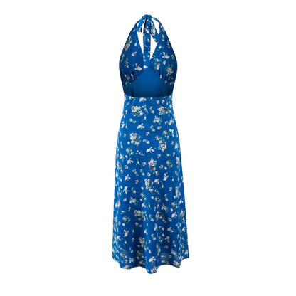 Spring Sexy Vacation Sexy V neck Strap Halterneck Printed Dress