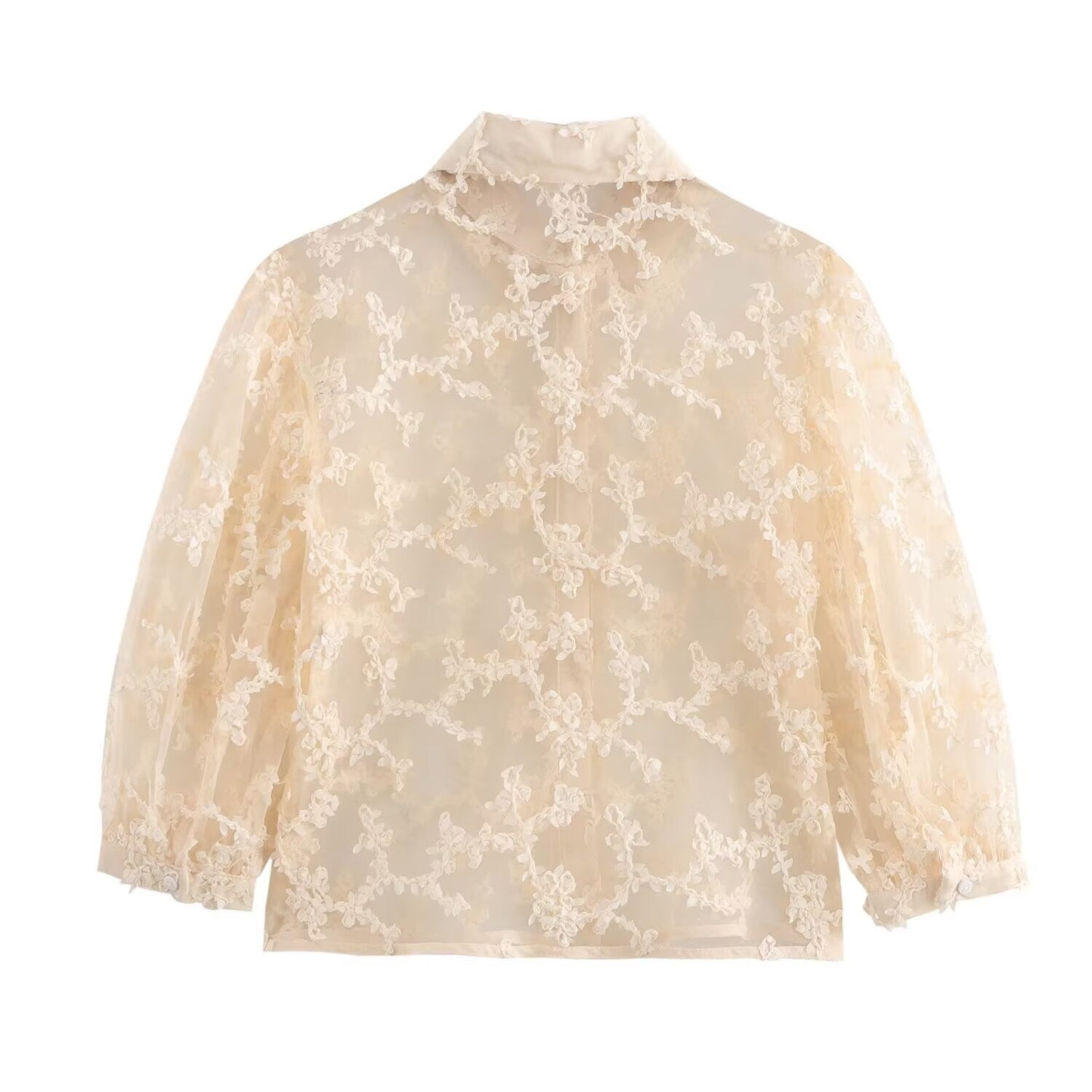 Women Clothing Summer Mesh Loose Slimming See through Puff Sleeve Shirt