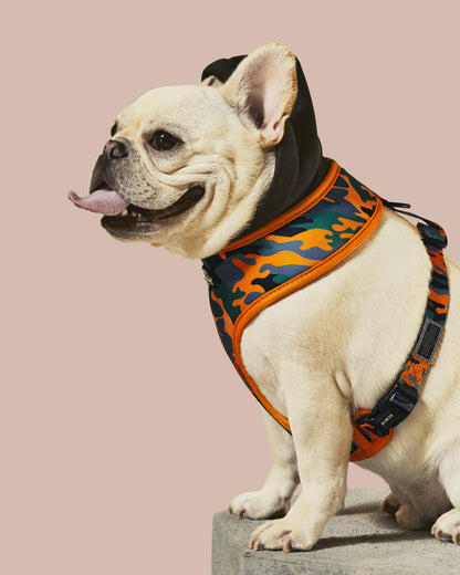 Camo QT Orange Hoodie Harness