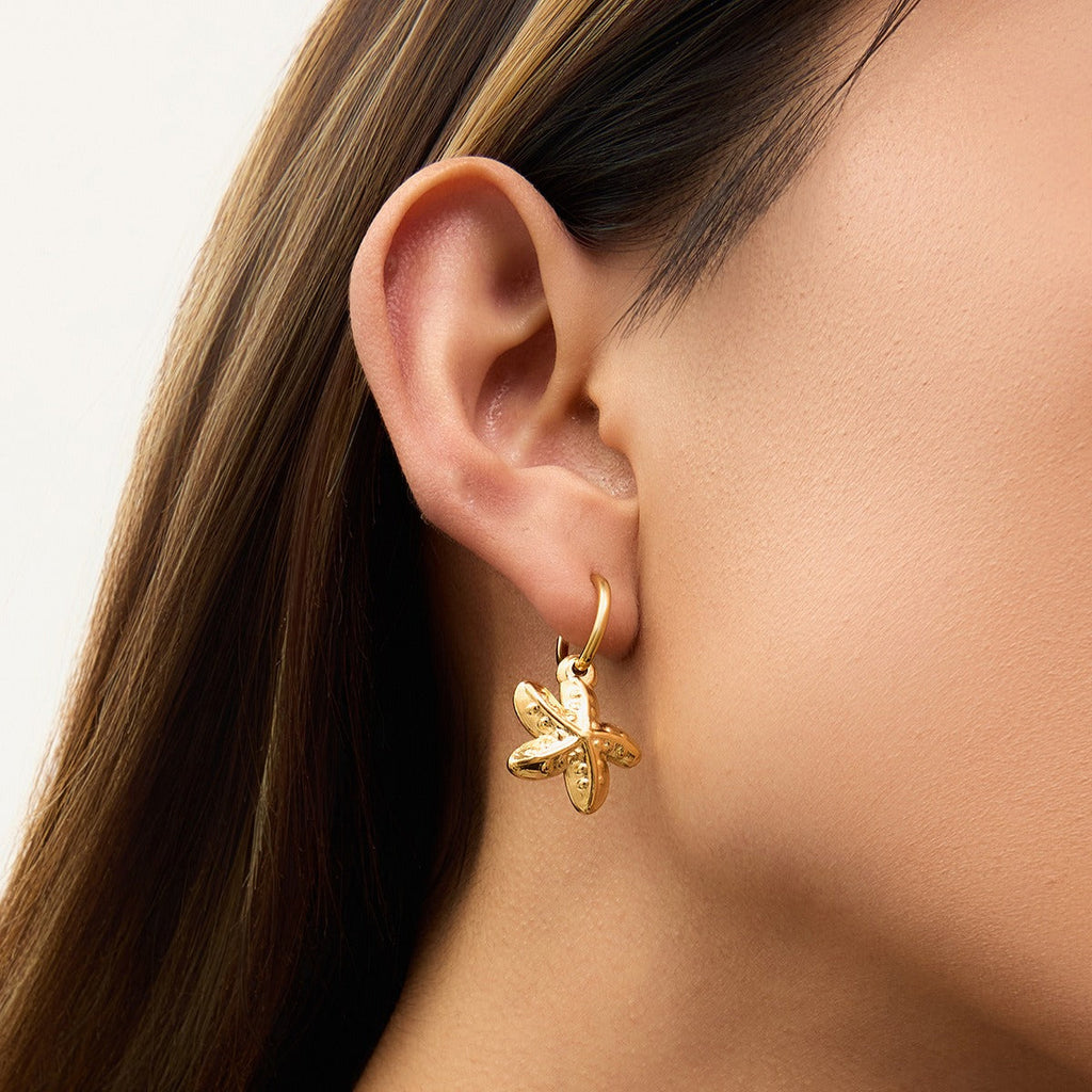 18K gold shells with starfish-shaped design exquisite trendy earrings