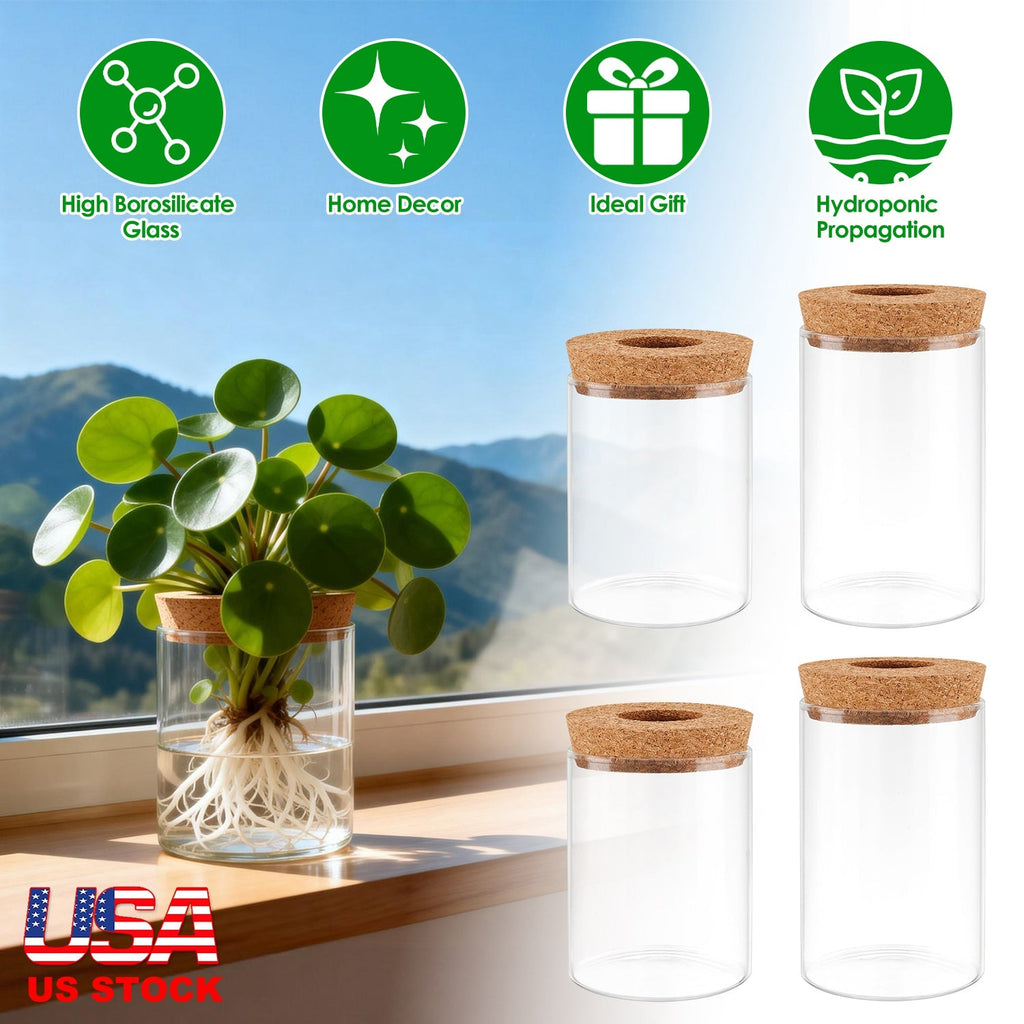 4Pack Glass Propagation Stations For Plants Indoor Glass Planters Hydroponic Plant Vases 2 Large 2 Small for Plant Cuttings Flower Arrangements