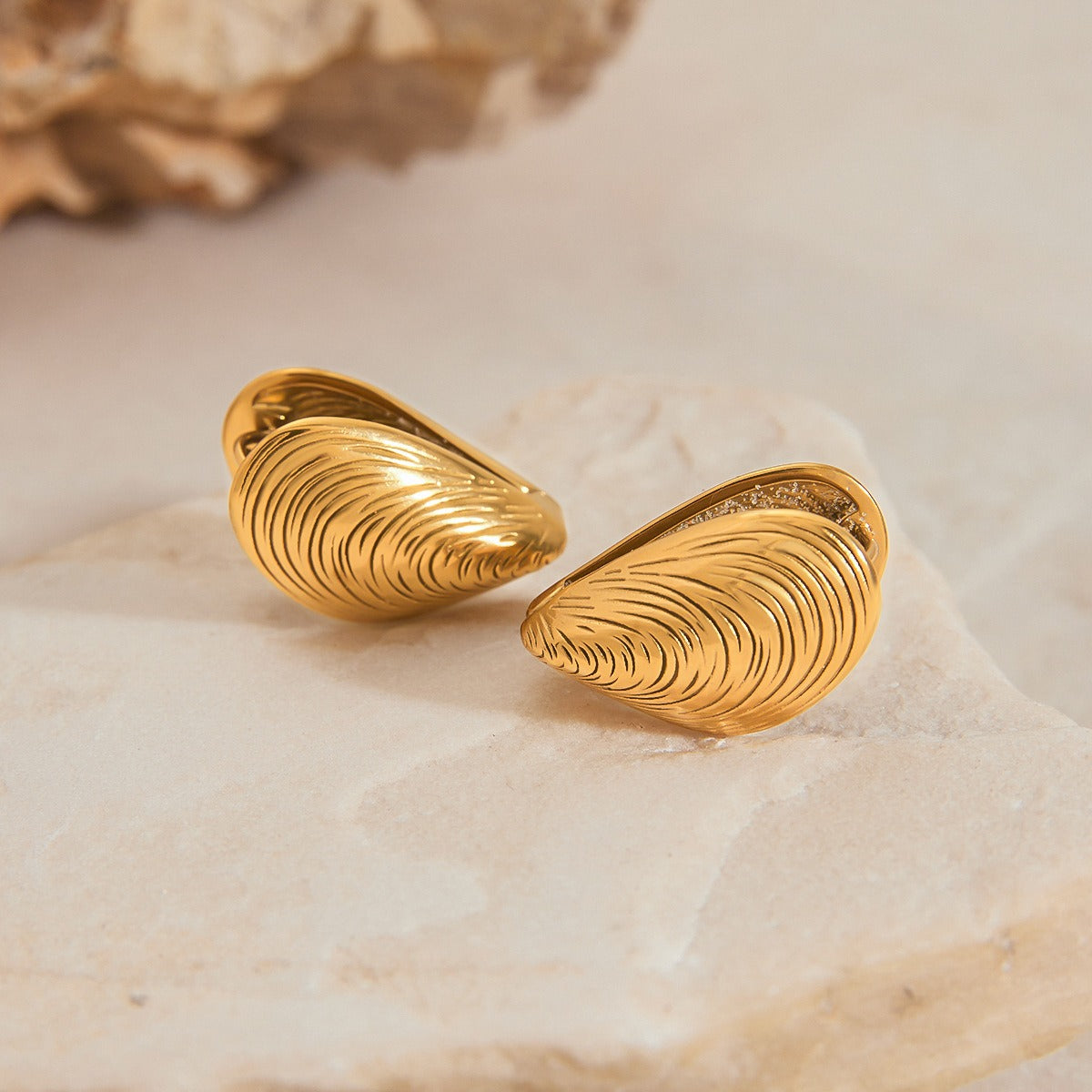 18K gold open sea clam with textured design exquisite and fashionable earrings