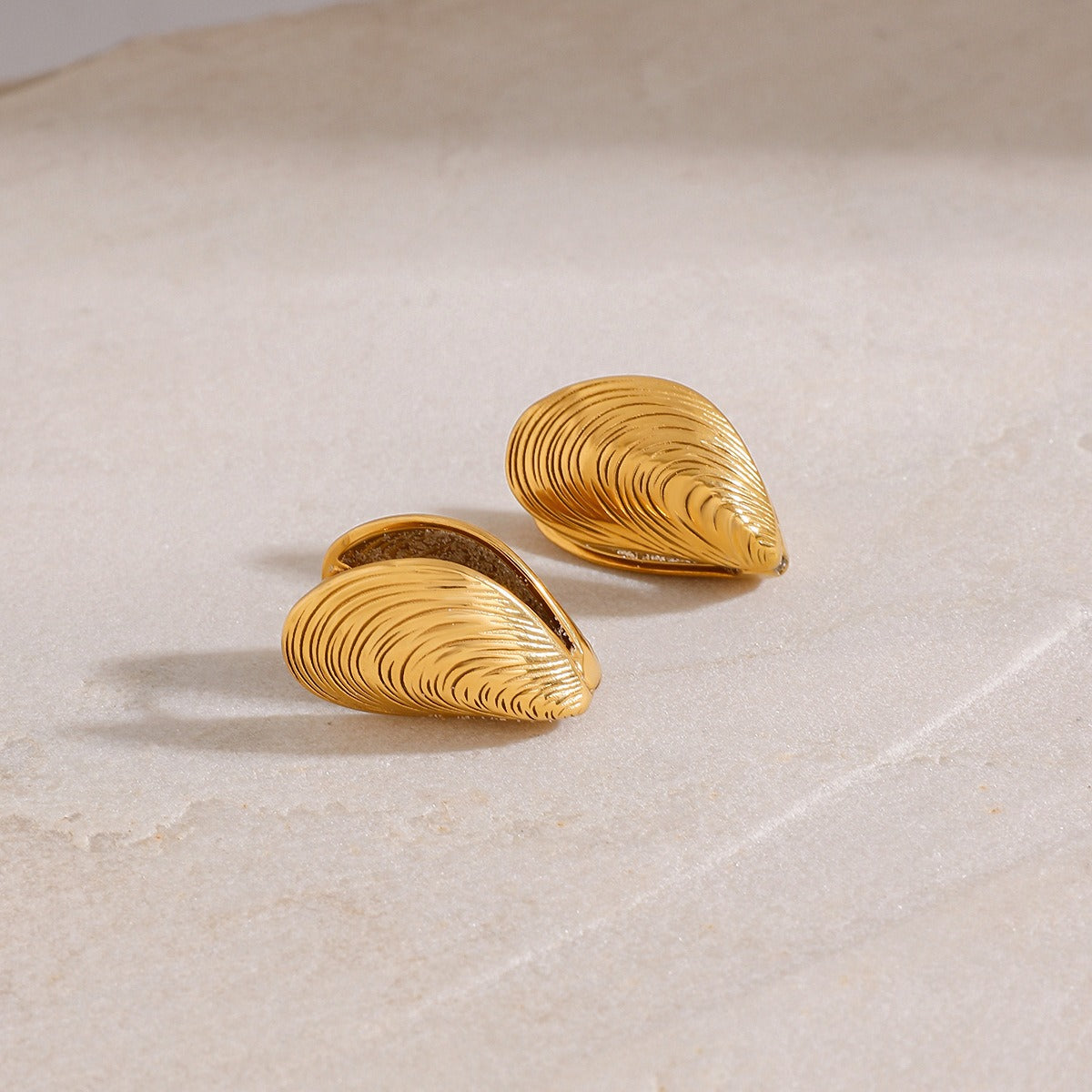 18K gold open sea clam with textured design exquisite and fashionable earrings