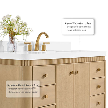 Aston 48" Bath Vanity Set