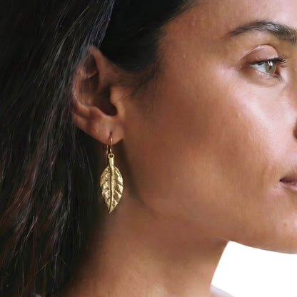 Brass Palm Leaf Earrings for Women - Tawi