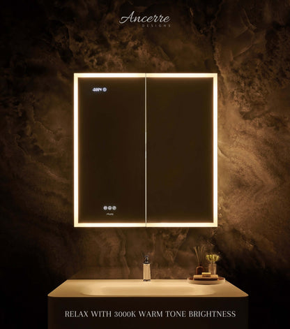 Pagani LED Mirror Cabinet with Defogger, Dimmer, Magnifier & USB outlet