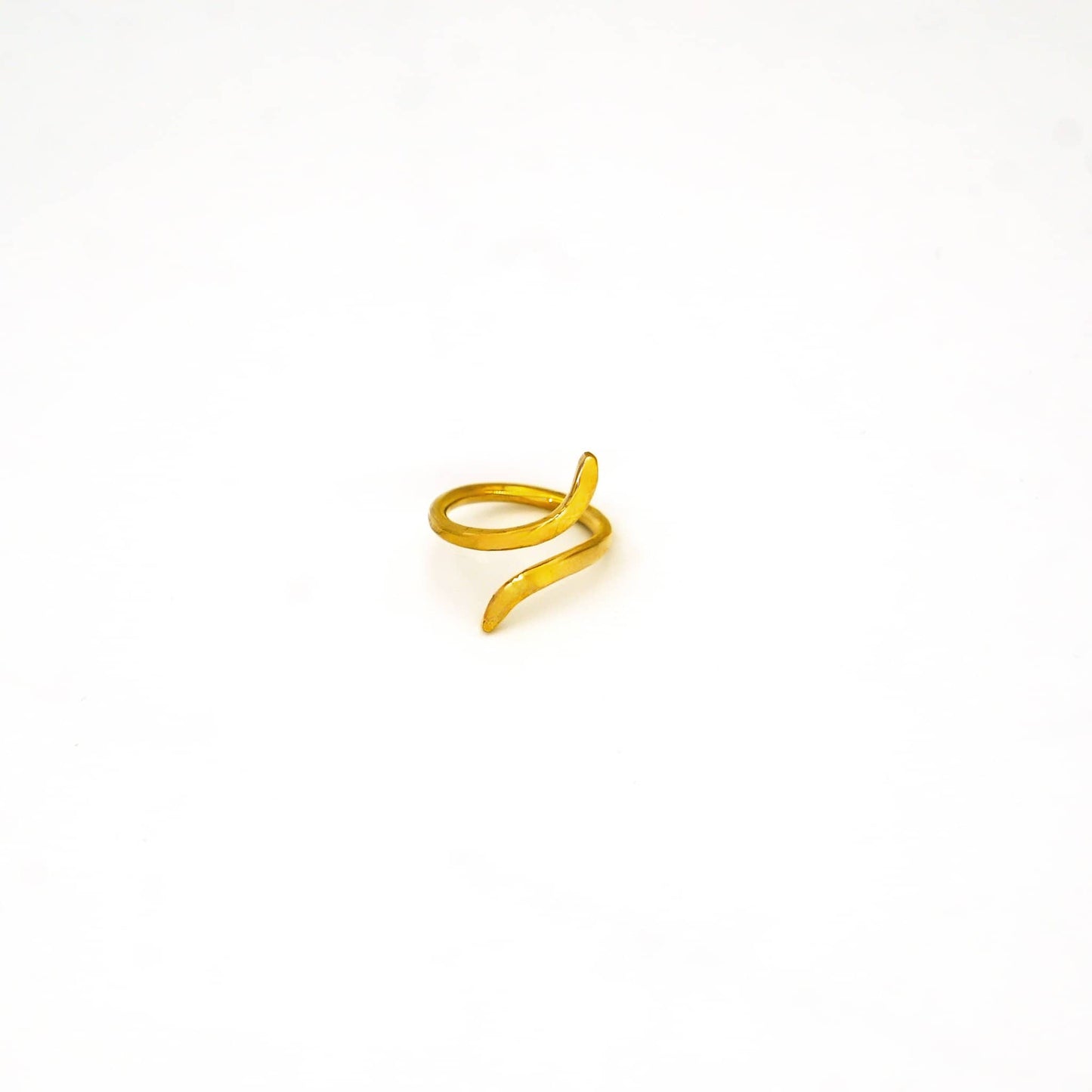 Coiled Band Ring | Nema