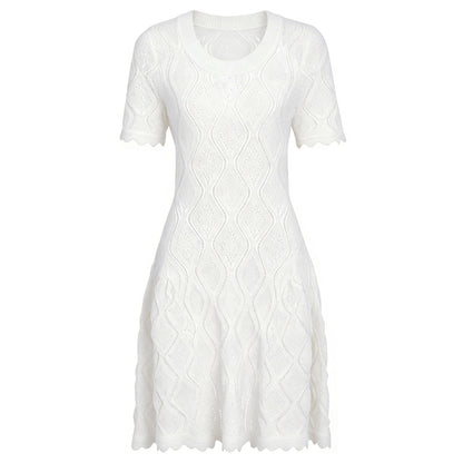 Summer Ladies Internet Popular Slim Fitting Slimming Short Sleeve Embroidered Hollow Out Cutout Dress Women