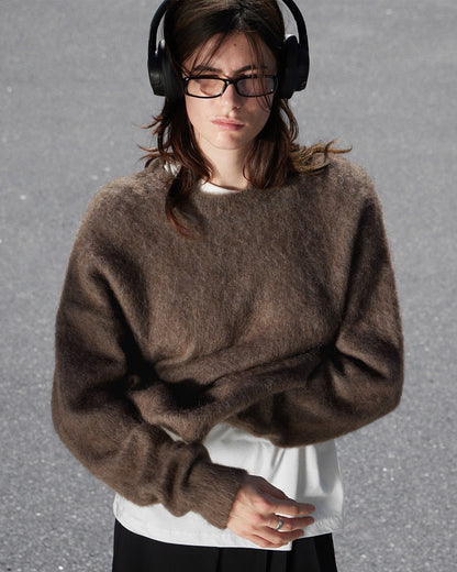 Women Autumn Winter Loose Long Wool Alpaca round Neck Sweater