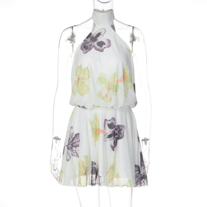 Women Clothing Summer Printed I Halter Fitted Waist Backless Lace up Dress
