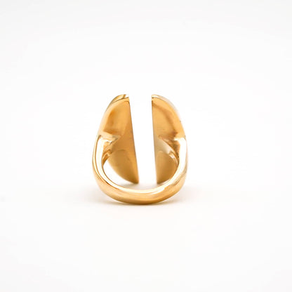 Double Oval Disc Ring | Pata
