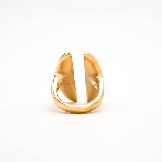 Double Oval Disc Ring | Pata