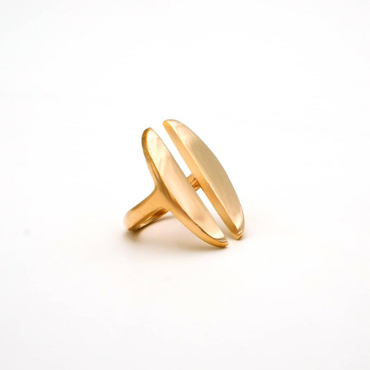 Double Oval Disc Ring | Pata