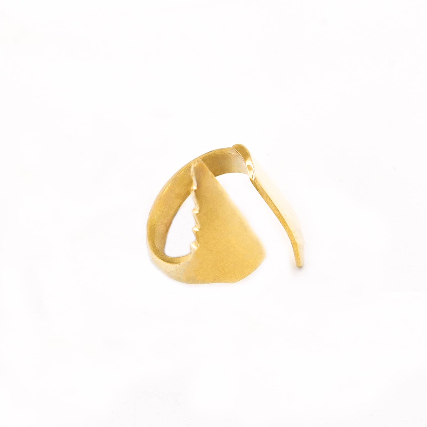 Elongated Wrap Ring | Peo