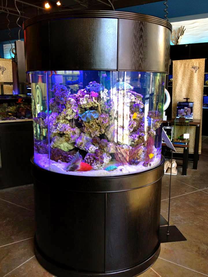 Glass Full Cylinder