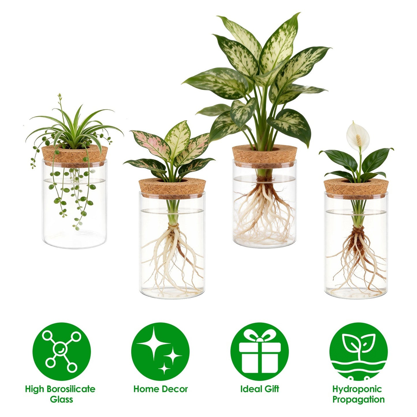 4Pack Glass Propagation Stations For Plants Indoor Glass Planters Hydroponic Plant Vases 2 Large 2 Small for Plant Cuttings Flower Arrangements