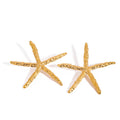 18K gold starfish-shaped earrings with a simple and unique design