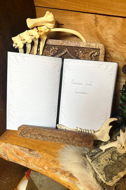Alice in Murderland Journal