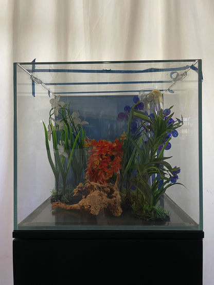 ULTRA CLEAR GLASS - 18 gallon cube fish tank aquarium full setup w/ filtration