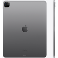 Apple iPad Pro 12.9-inch (5th Gen, 2021) (Wi-Fi)