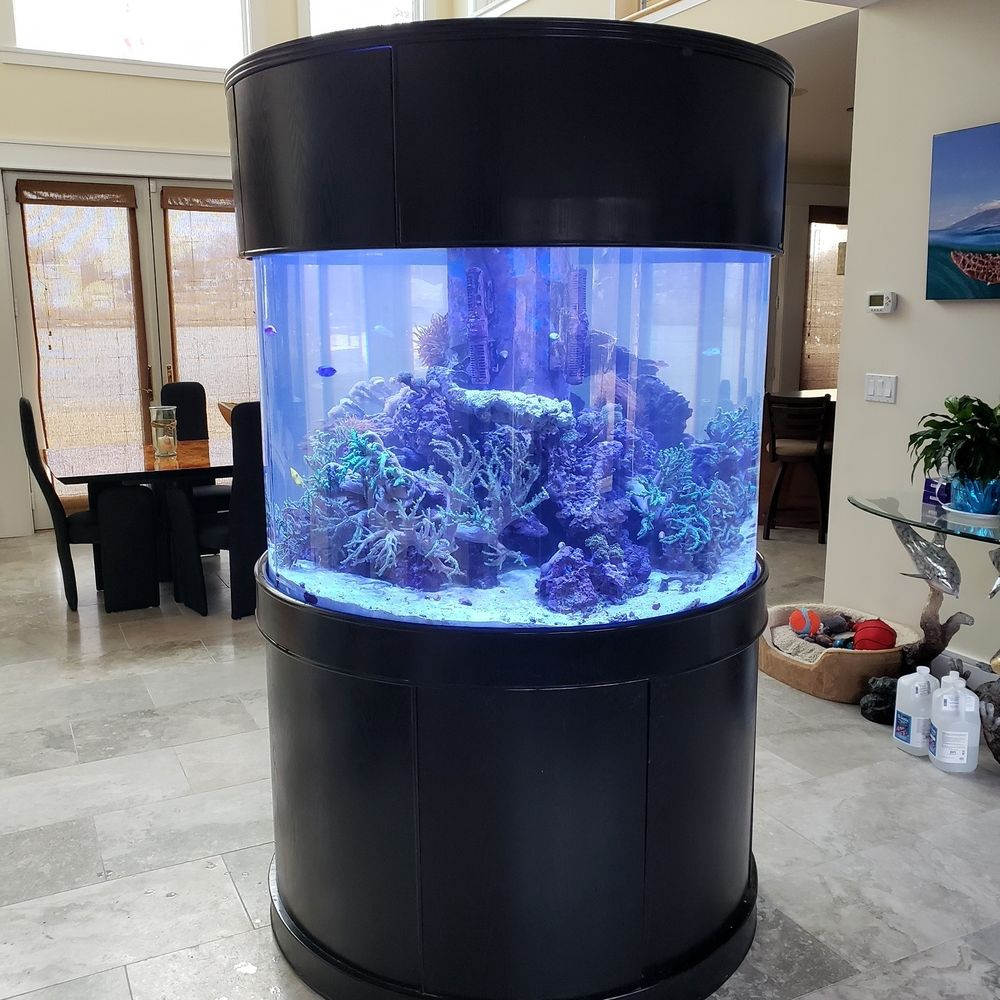 Glass Full Cylinder
