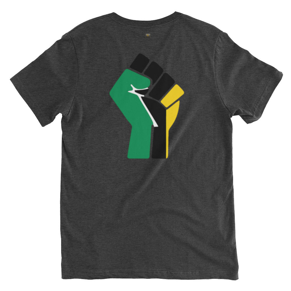 Crowned Path Men's V-Neck Tee
